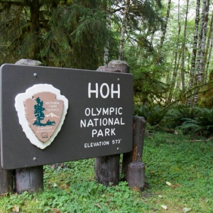 20140814-163448-olympic national park-0421