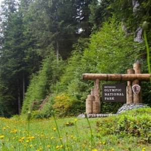 20140815-110443-olympic national park-0429