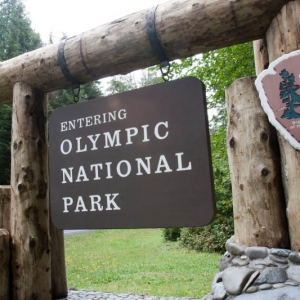 20140815-110754-olympic national park-0435