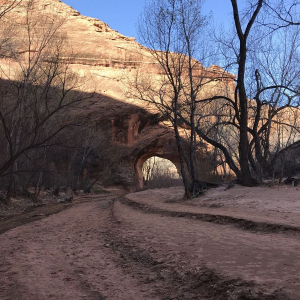20180327-103750-Coyote Gulch-0060